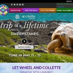 Wheel of Fortune Trip Of A Lifetime Sweepstakes