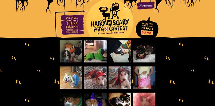 Albertsonshairynscary Com Albertsons Hairy N Scary Foto Contest