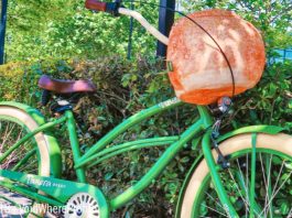 Panera Bread Bike Bowl Giveaway 2021